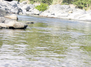 haga click para ampliar la imagen