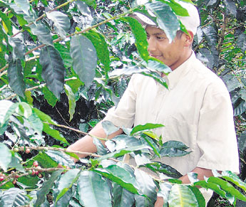 haga click para ampliar la imagen