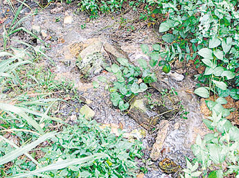 haga click para ampliar la imagen