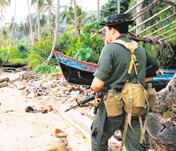 haga click para ampliar la imagen