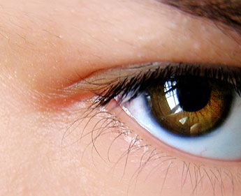 haga click para ampliar la imagen