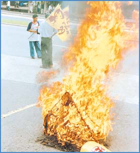 Imagen foto