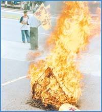 Imagen foto