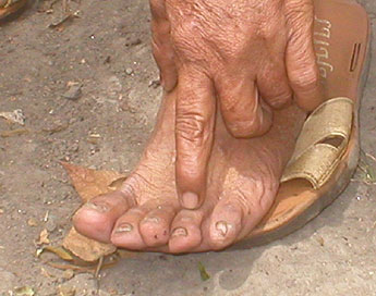 haga click para ampliar la imagen