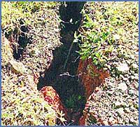 Imagen foto