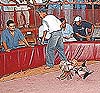 Imagen foto