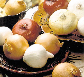 haga click para ampliar la imagen