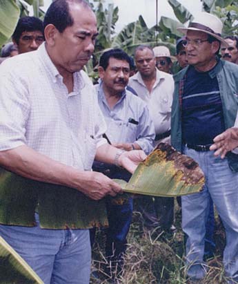 Imagen foto