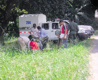 haga click para ampliar la imagen