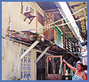 Imagen foto