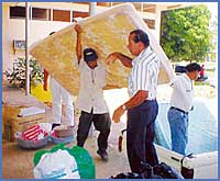 Imagen foto