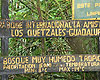 haga click para ampliar la imagen