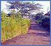 Imagen foto