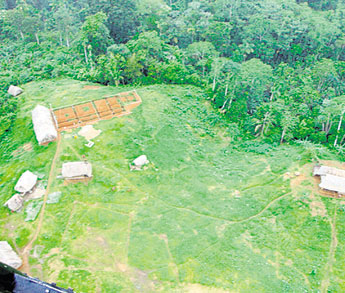 haga click para ampliar la imagen