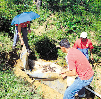 haga click para ampliar la imagen