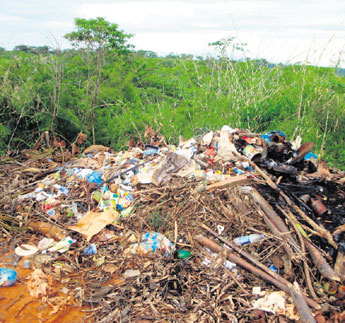 haga click para ampliar la imagen