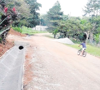 haga click para ampliar la imagen