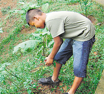 haga click para ampliar la imagen