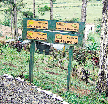 haga click para ampliar la imagen