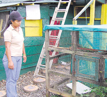 haga click para ampliar la imagen