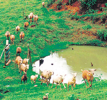 haga click para ampliar la imagen