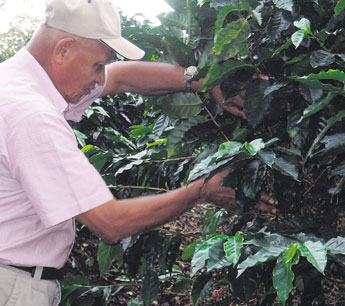 haga click para ampliar la imagen