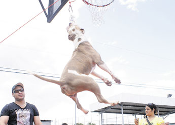 haga click para ampliar la imagen