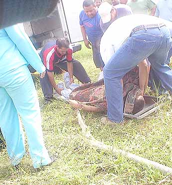 Imagen foto