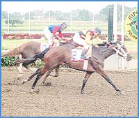Imagen foto