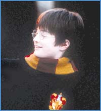 Imagen foto