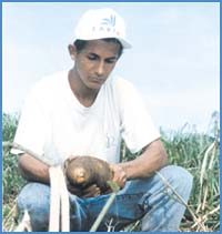 Imagen foto