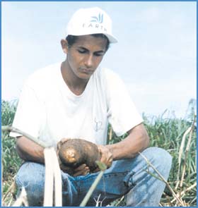 Imagen foto