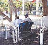 Imagen foto