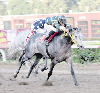 haga click para ampliar la imagen