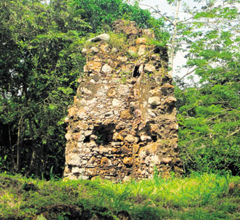 haga click para ampliar la imagen