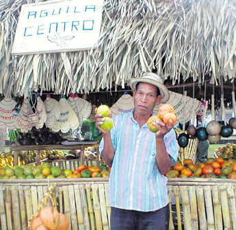 haga click para ampliar la imagen