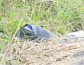 haga click para ampliar la imagen