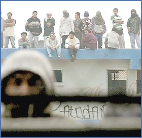 Imagen foto