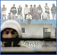 Imagen foto