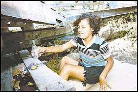 Imagen foto