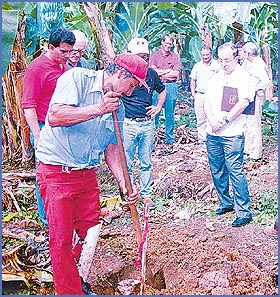 Imagen foto