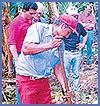 Imagen foto