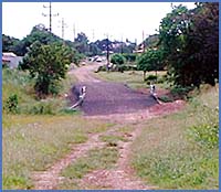 Imagen foto