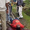 Imagen foto