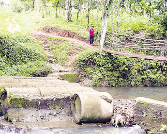 haga click para ampliar la imagen