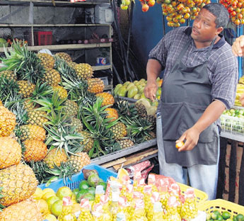 haga click para ampliar la imagen