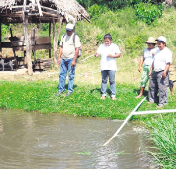 haga click para ampliar la imagen