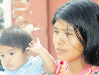 haga click para ampliar la imagen