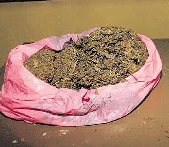 haga click para ampliar la imagen