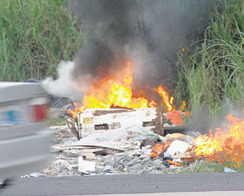 haga click para ampliar la imagen